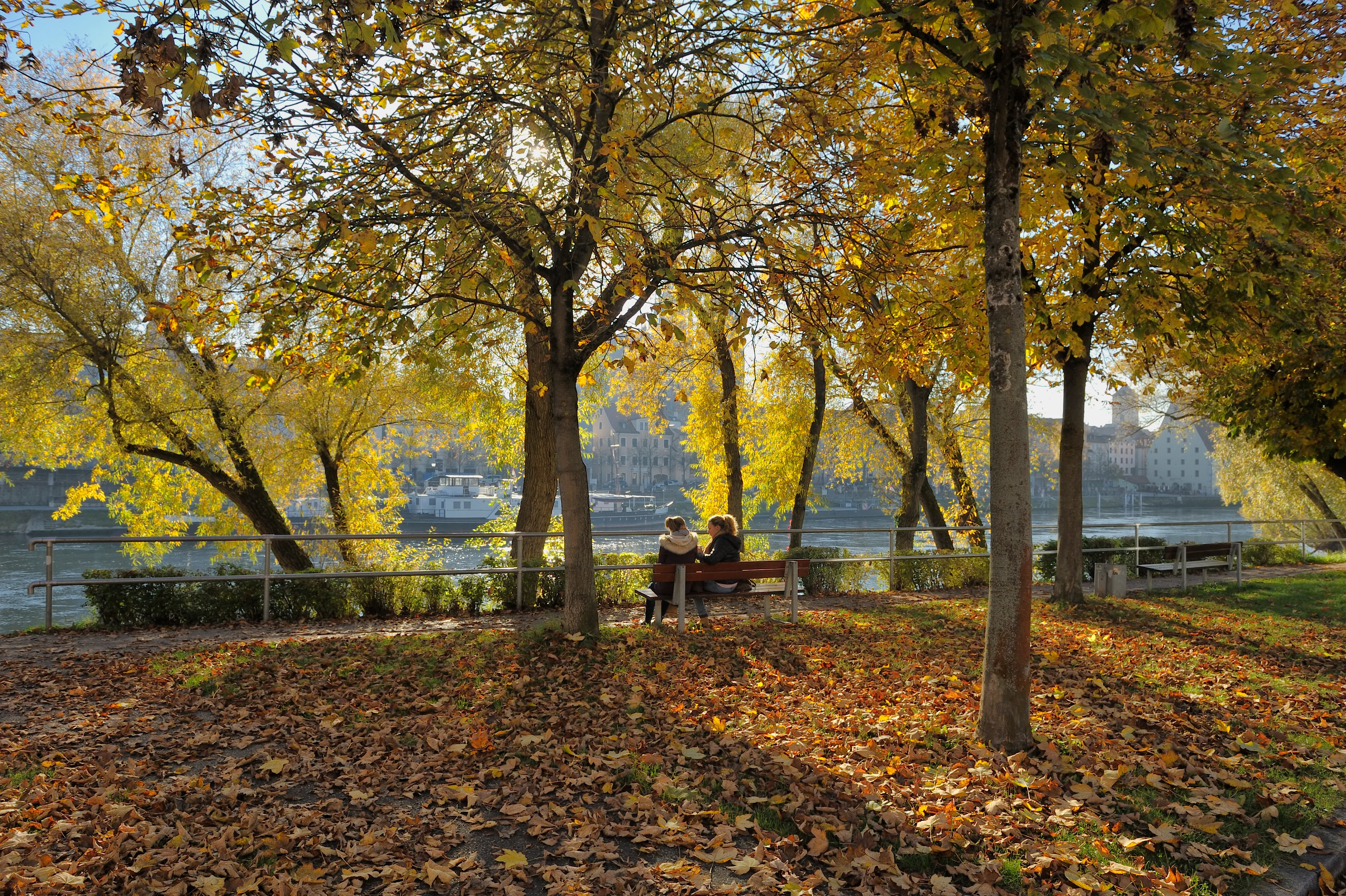 Herbstliche Allee am Donauufer in Regensburg: Paar auf einer Bank unter goldgelb gefärbten Bäumen, Laubteppich am Boden, im Hintergrund die Altstadtsilhouette.