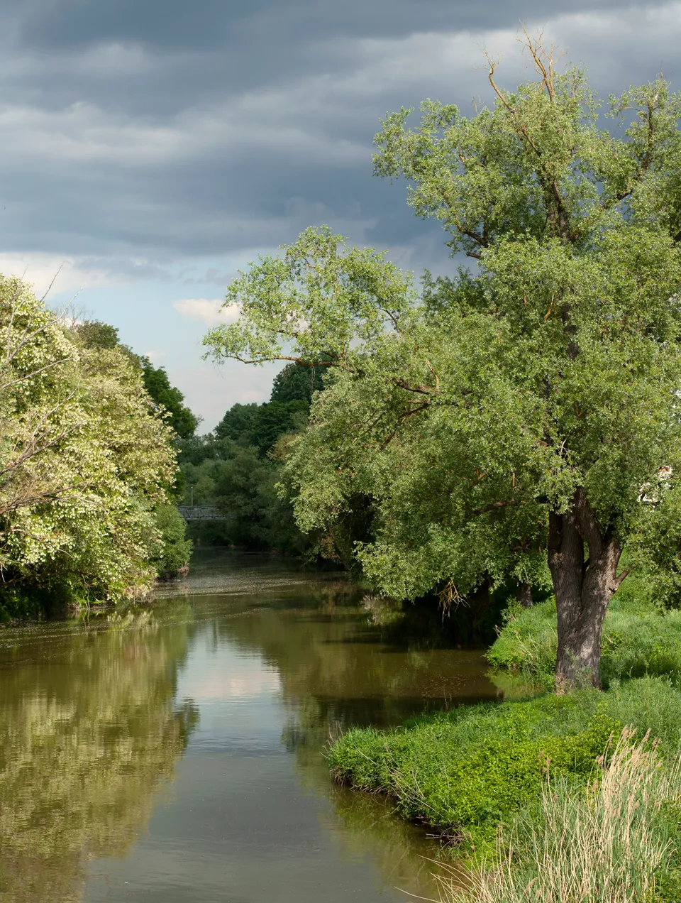 Donau mit Donauauen