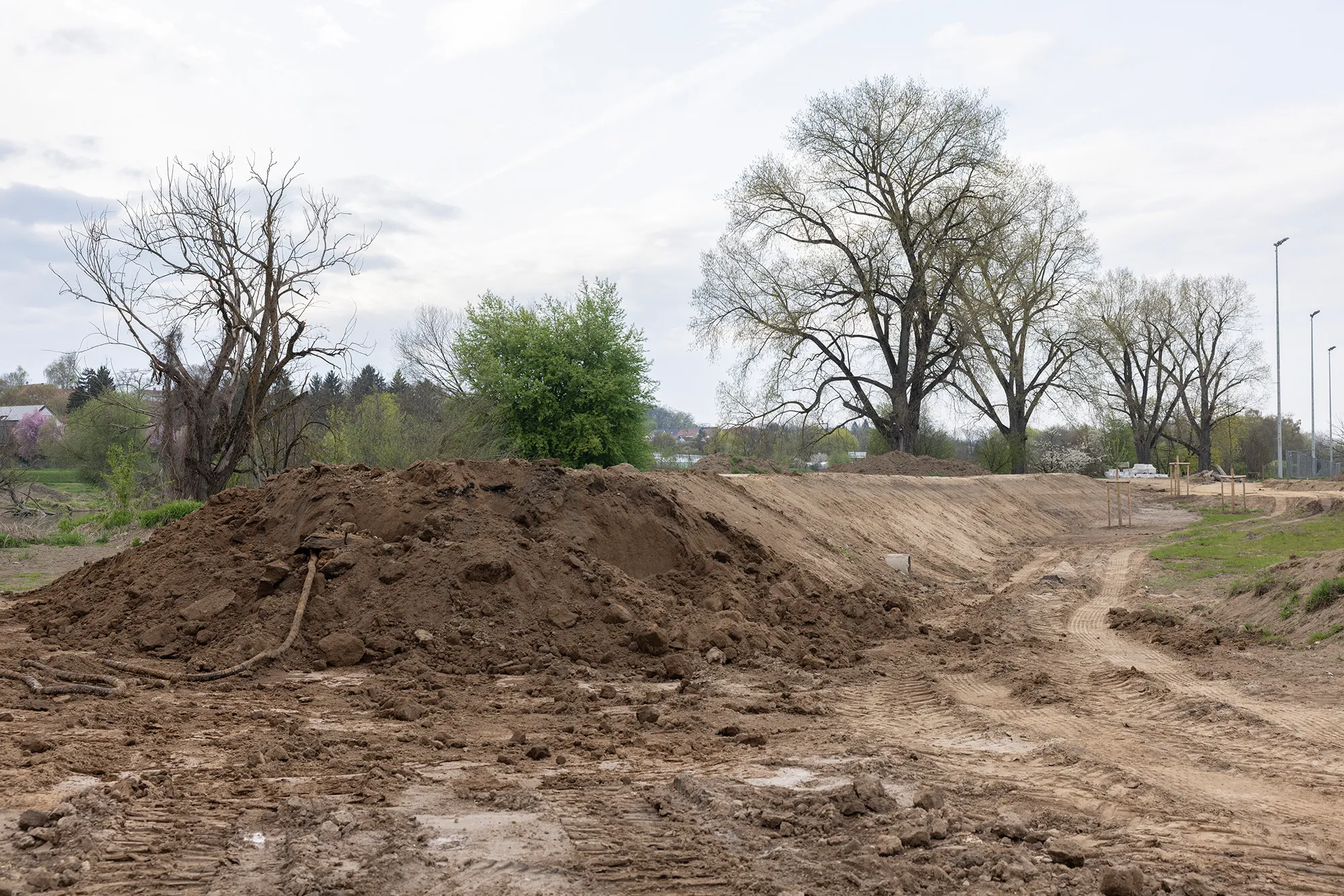 Großer Erdaushub-Haufen aus dunkler Erde auf einer Baustelle, daneben planierte Fahrspuren; dahinter kahle, frühlingshafte Bäume unter bewölktem Himmel.