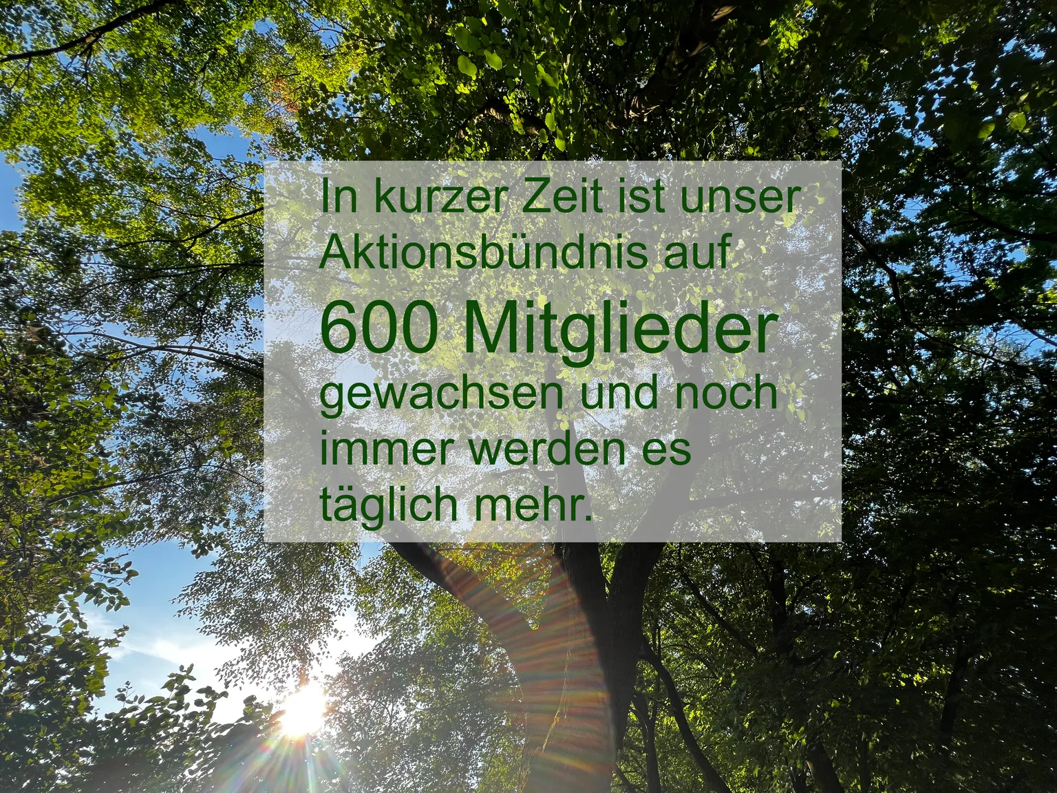 600 Mitglieder