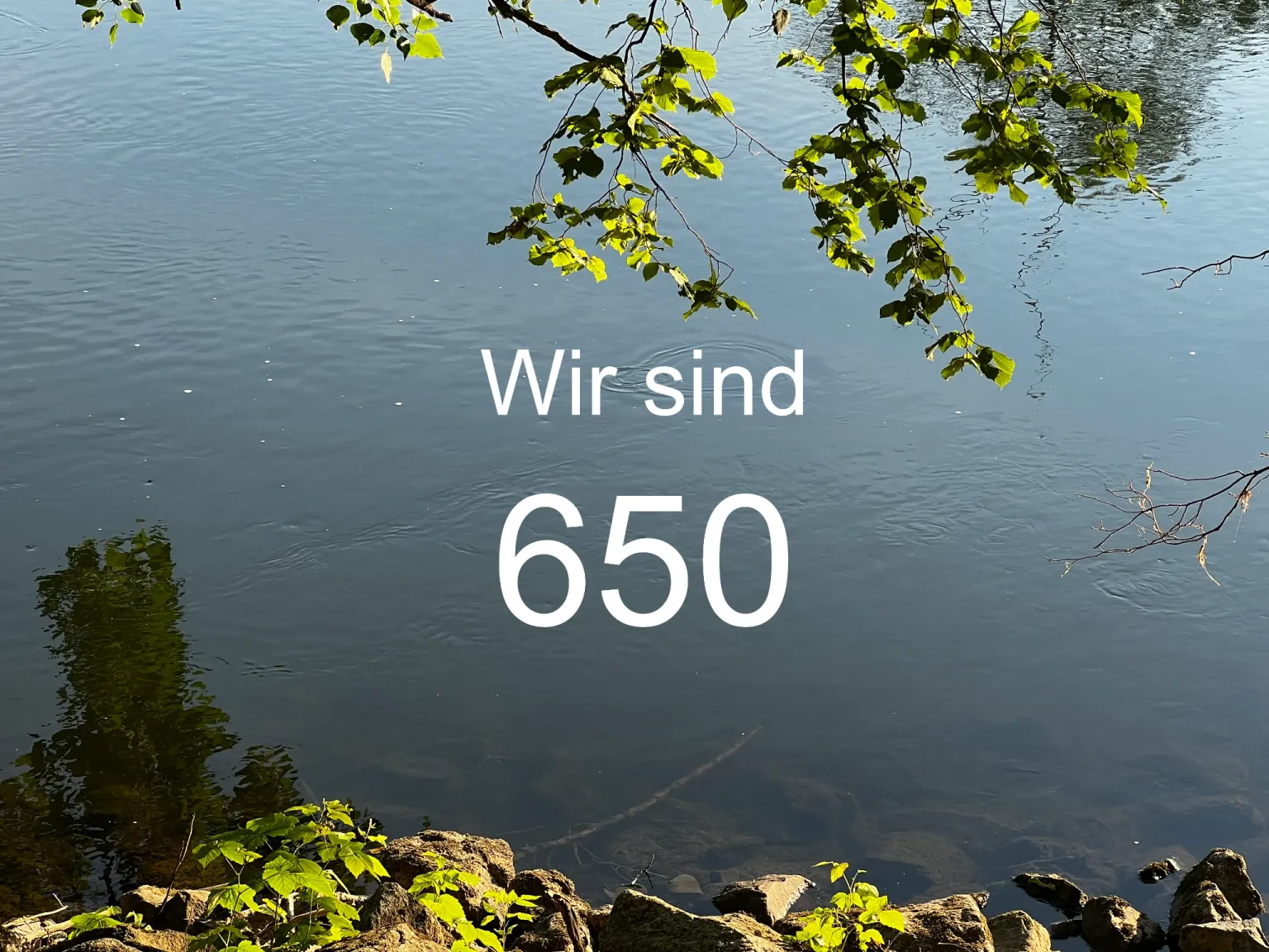 650 mitglieder