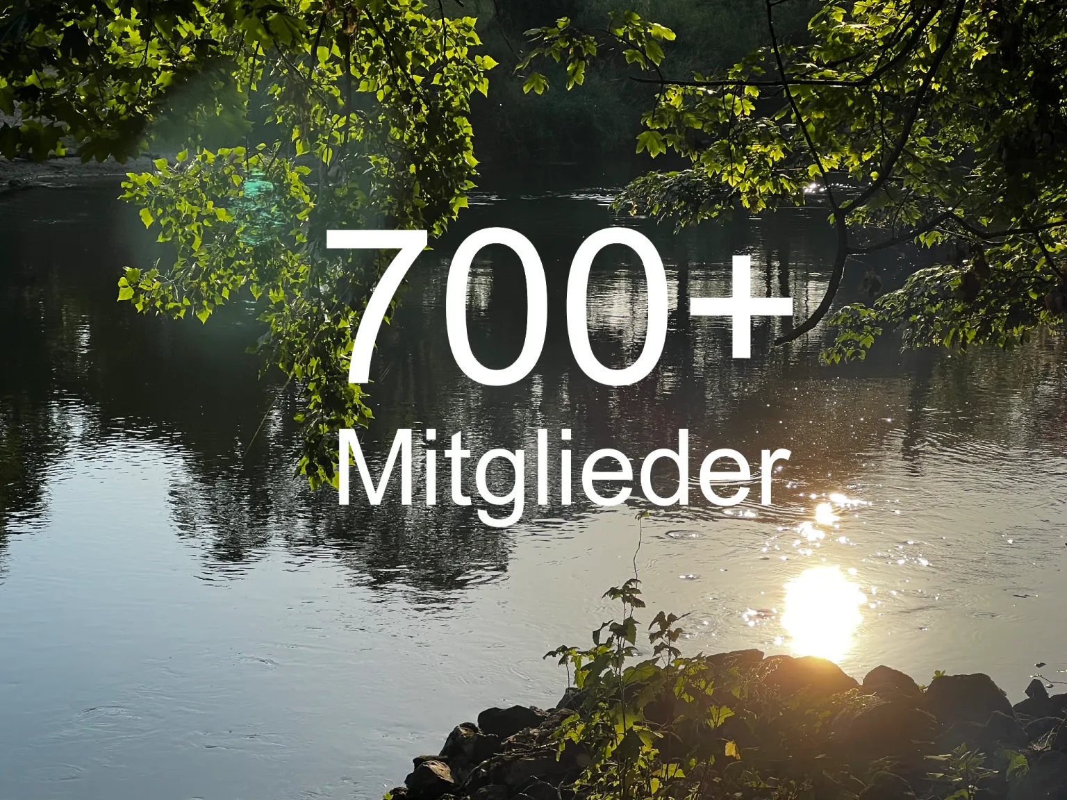 mehr als 700 Mitglieder