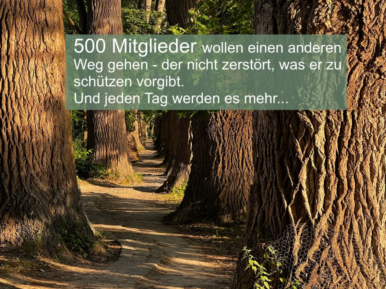 500 Mitglieder