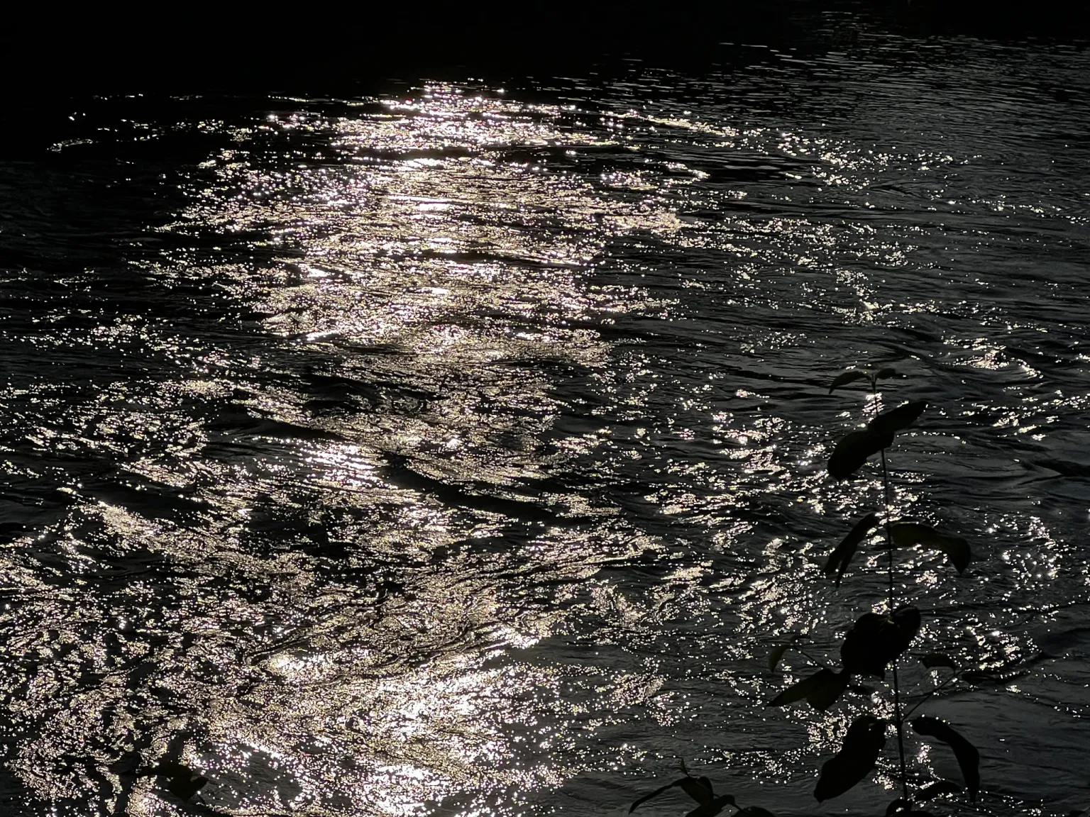 Wasser