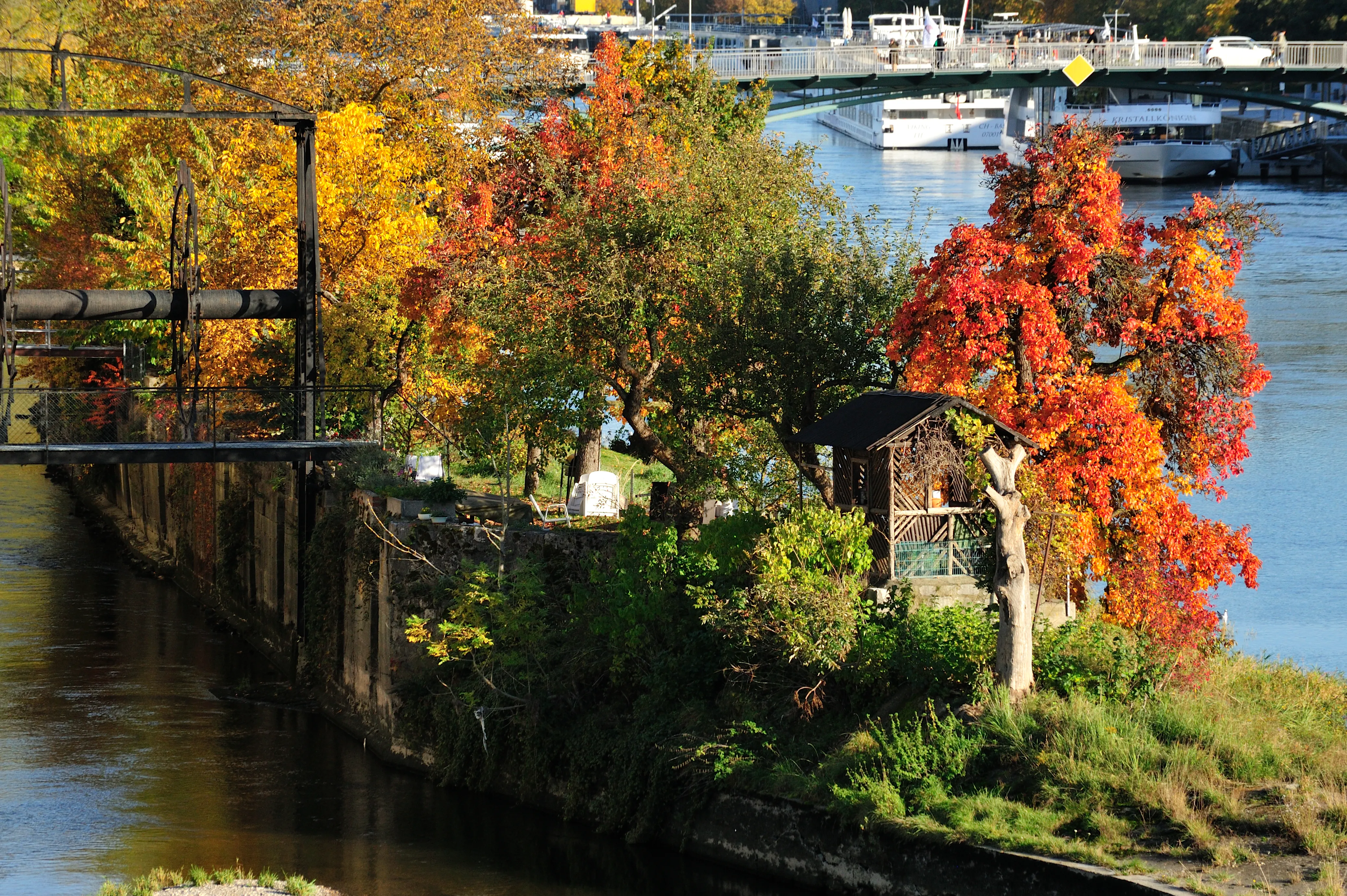 Herbstlich gefärbte Bäume am Beschlächt zwischen Oberem und Unterem Wöhrd, kleine Holzhütte und Donau mit Schiffsanlegestelle im Hintergrund.