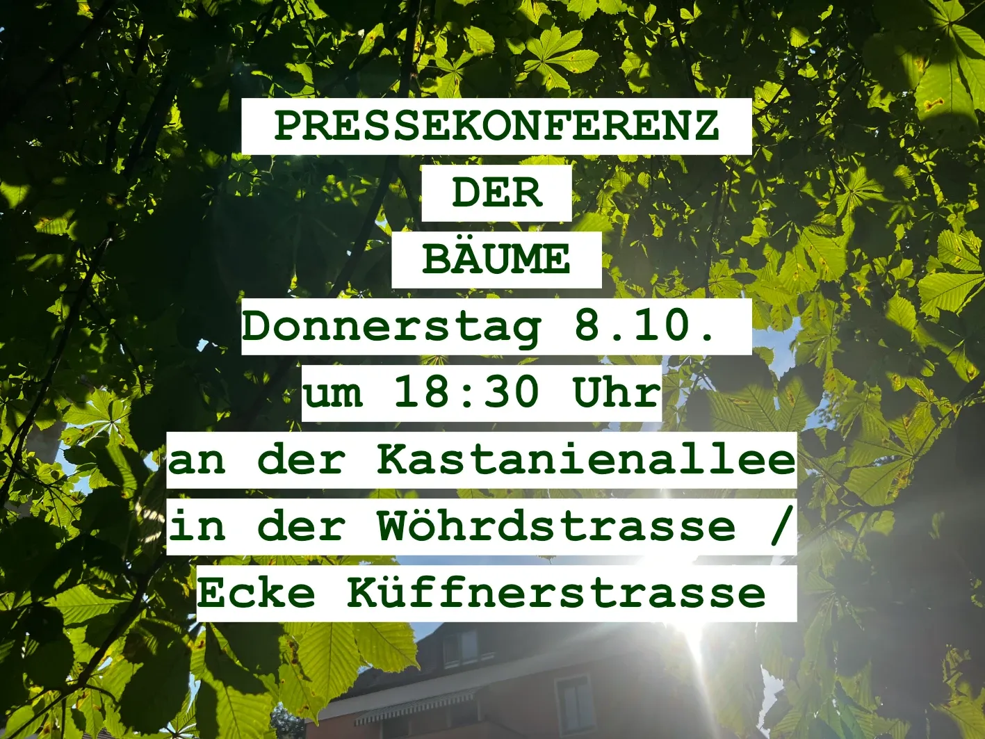 Kastanien Pressekonferenz der Bäume